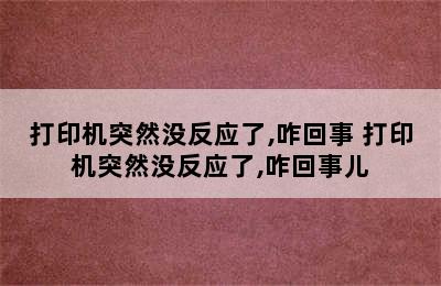 打印机突然没反应了,咋回事 打印机突然没反应了,咋回事儿